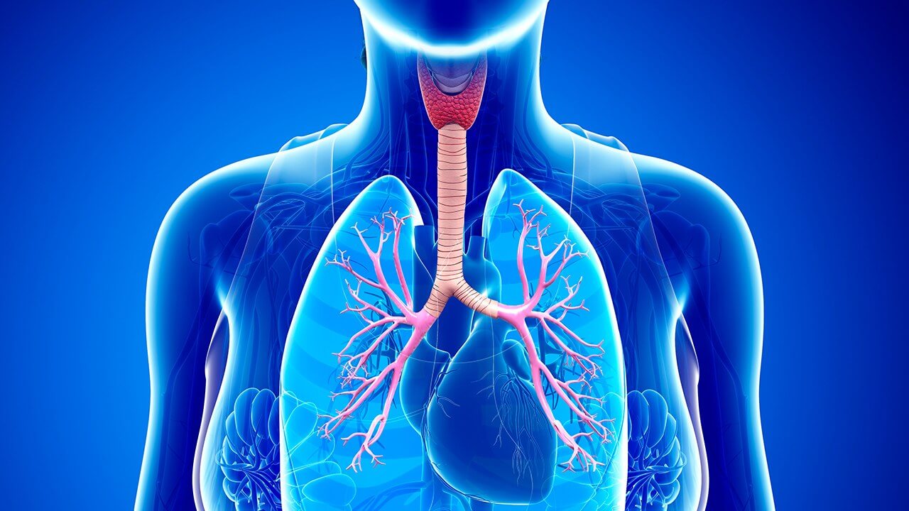 Diagram of a heart with asthma condition